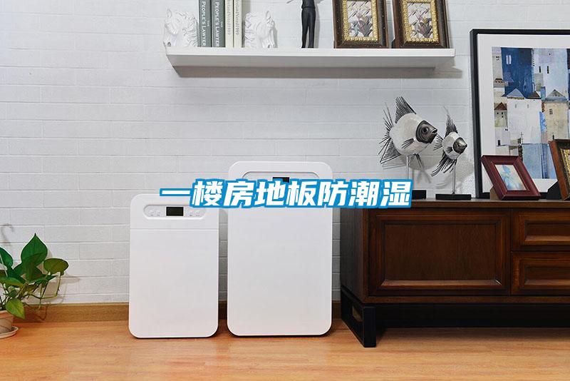 一樓房地板防潮濕
