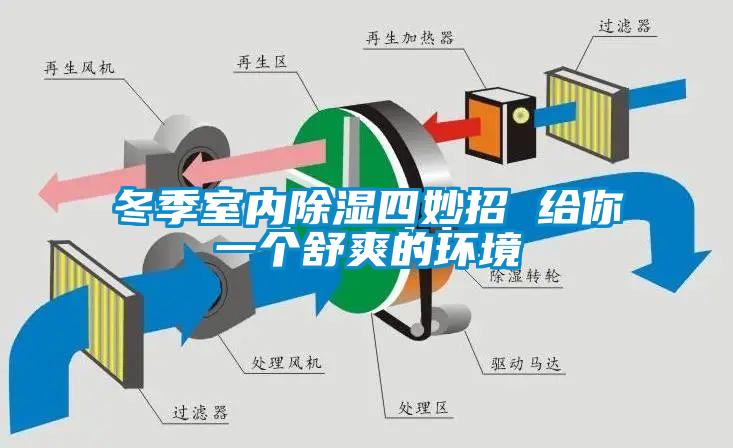 冬季室內除濕四妙招 給你一個(gè)舒爽的環(huán)境