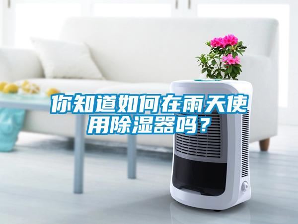 你知道如何在雨天使用除濕器嗎？