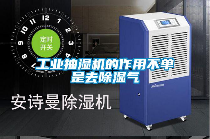 工業(yè)抽濕機的作用不單是去除濕氣