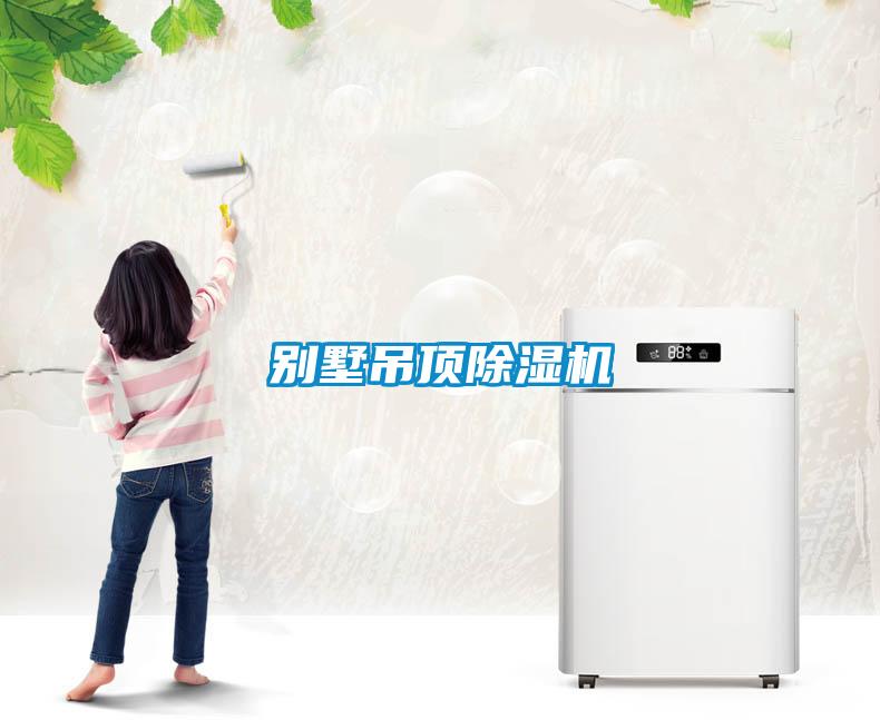 別墅吊頂除濕機