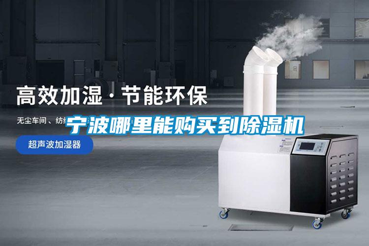 寧波哪里能購買(mǎi)到除濕機