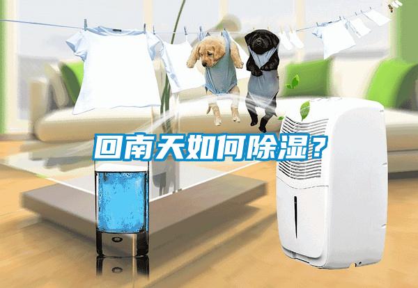 回南天如何除濕？
