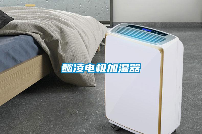 懿凌電極加濕器