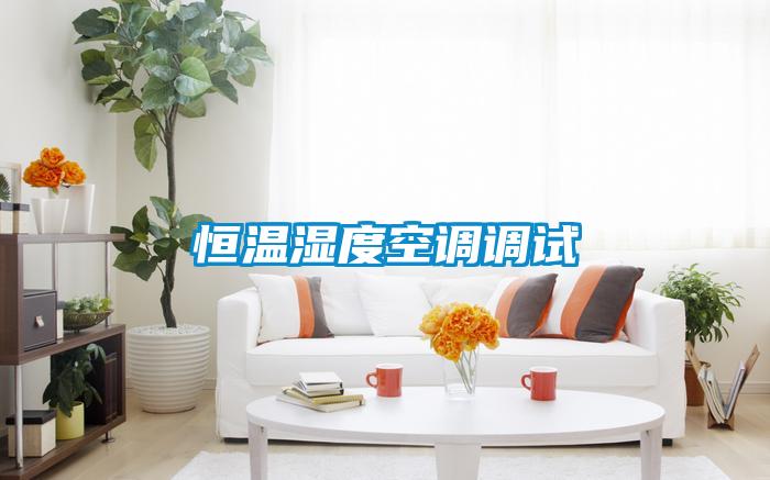 恒溫濕度空調調試