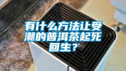 有什么方法讓受潮的普洱茶起死回生？