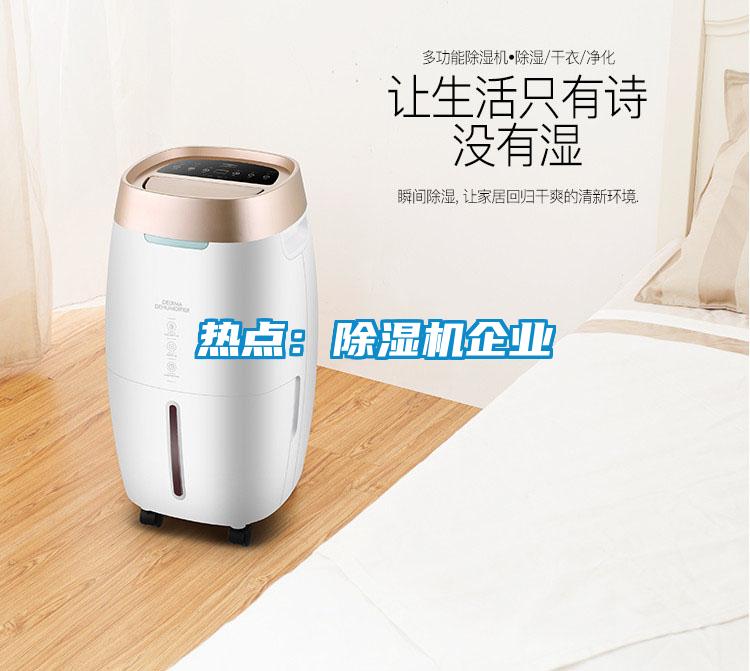 熱點(diǎn)：除濕機企業(yè)