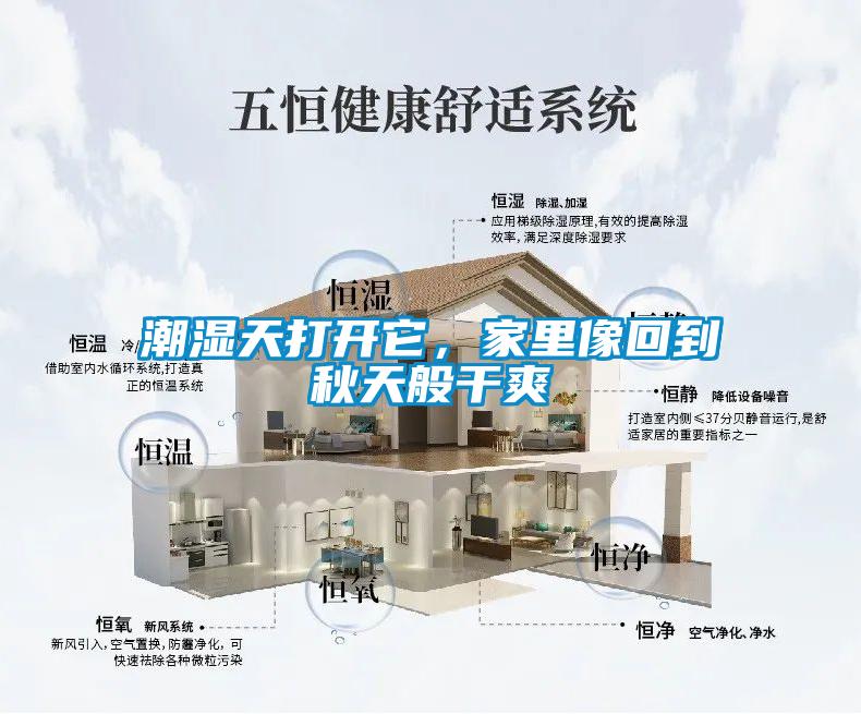 潮濕天打開(kāi)它，家里像回到秋天般干爽