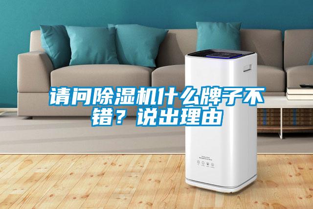 請問(wèn)除濕機什么牌子不錯？說(shuō)出理由