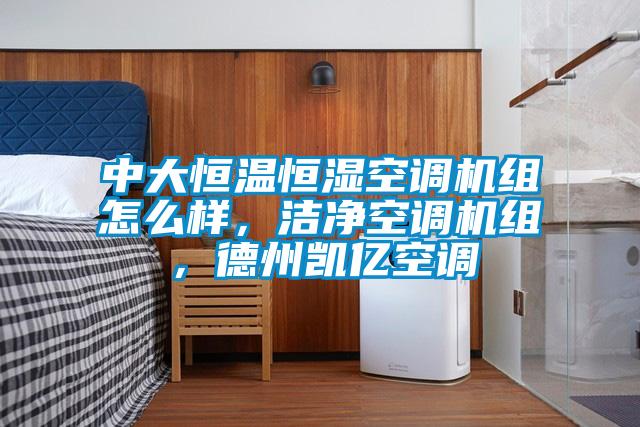 中大恒溫恒濕空調機組怎么樣，潔凈空調機組，德州凱億空調
