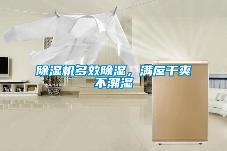 除濕機多效除濕，滿(mǎn)屋干爽不潮濕