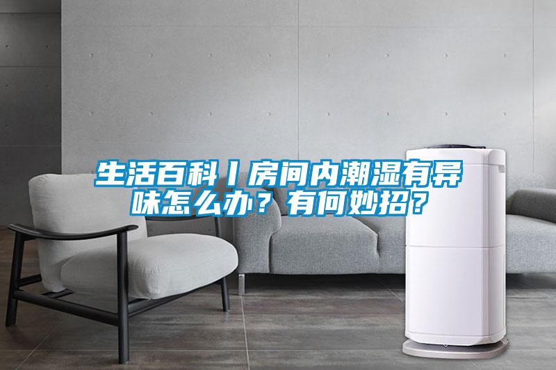 生活百科丨房間內潮濕有異味怎么辦？有何妙招？