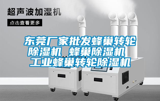 東莞廠(chǎng)家批發(fā)蜂巢轉輪除濕機 蜂巢除濕機 工業(yè)蜂巢轉輪除濕機