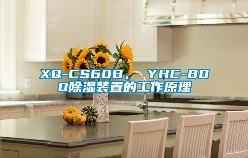XQ-CS60B、 YHC-800除濕裝置的工作原理
