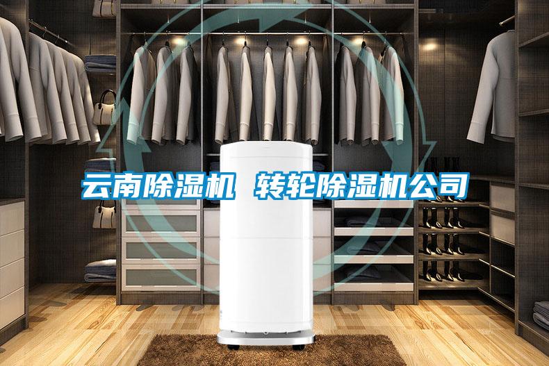 云南除濕機 轉輪除濕機公司