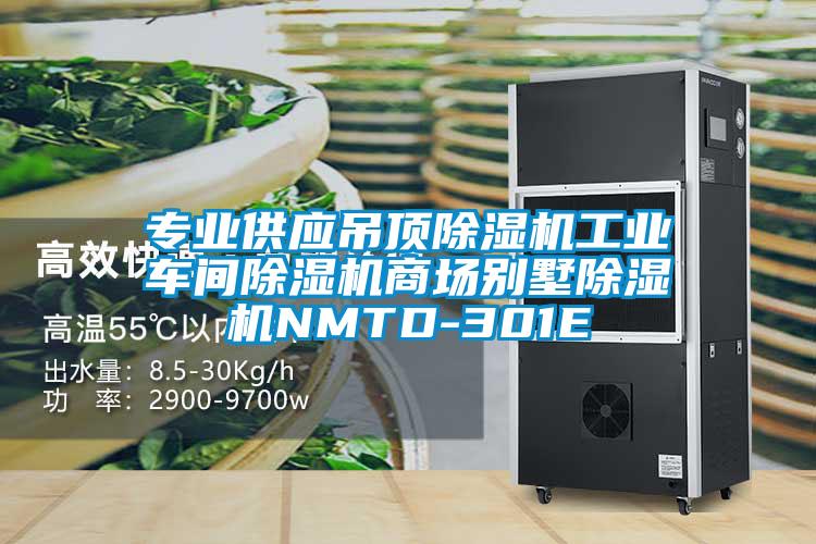 專(zhuān)業(yè)供應吊頂除濕機工業(yè)車(chē)間除濕機商場(chǎng)別墅除濕機NMTD-301E
