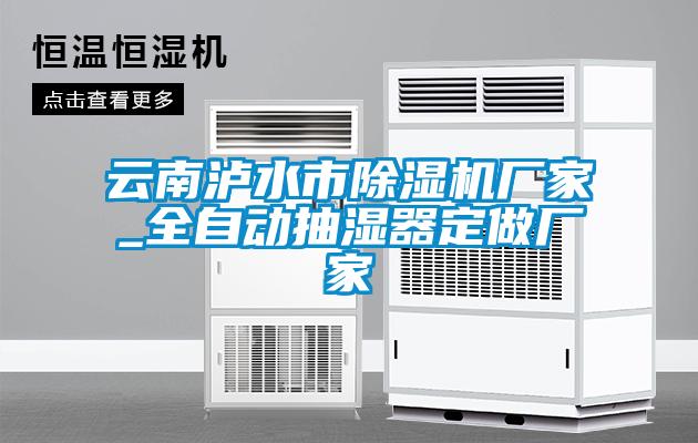 云南瀘水市除濕機廠(chǎng)家_全自動(dòng)抽濕器定做廠(chǎng)家