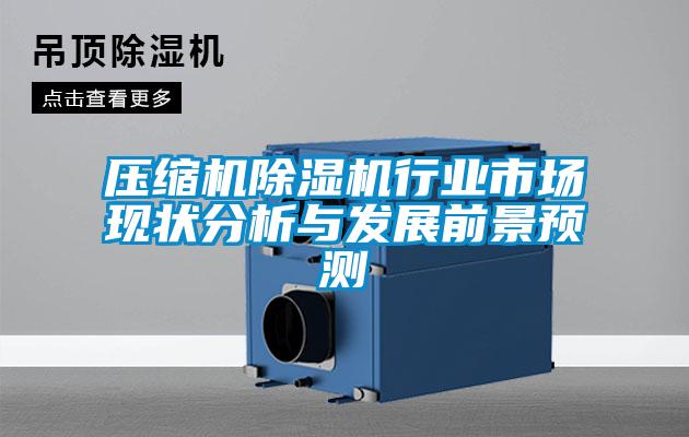 壓縮機除濕機行業(yè)市場(chǎng)現狀分析與發(fā)展前景預測