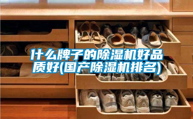 什么牌子的除濕機好品質(zhì)好(國產(chǎn)除濕機排名)