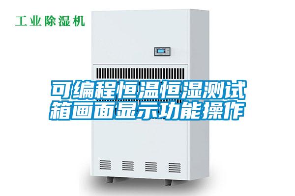 可編程恒溫恒濕測試箱畫(huà)面顯示功能操作
