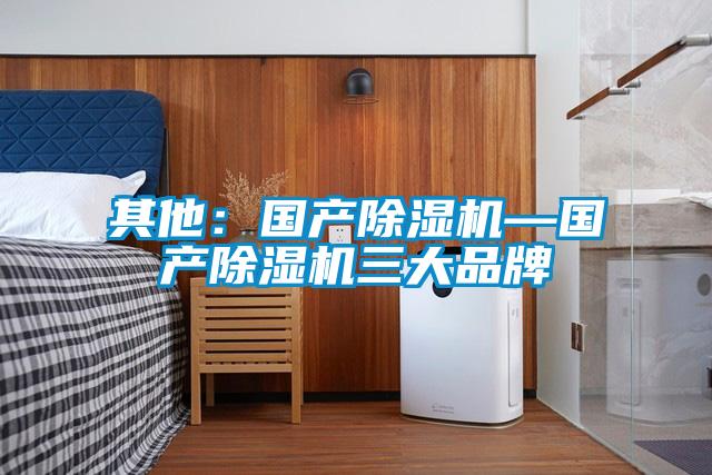 其他：國產(chǎn)除濕機—國產(chǎn)除濕機三大品牌
