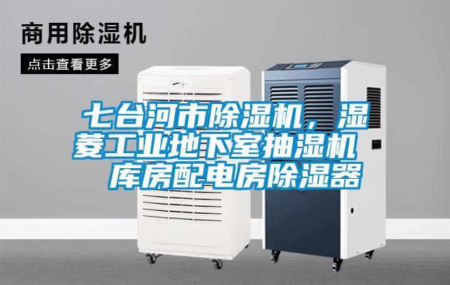 七臺河市除濕機，濕菱工業(yè)地下室抽濕機  庫房配電房除濕器