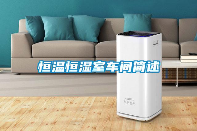 恒溫恒濕室車(chē)間簡(jiǎn)述