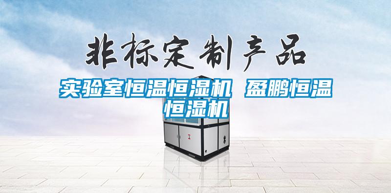 實(shí)驗室恒溫恒濕機 盈鵬恒溫恒濕機