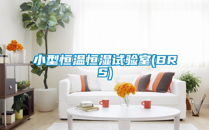小型恒溫恒濕試驗室(BRS)