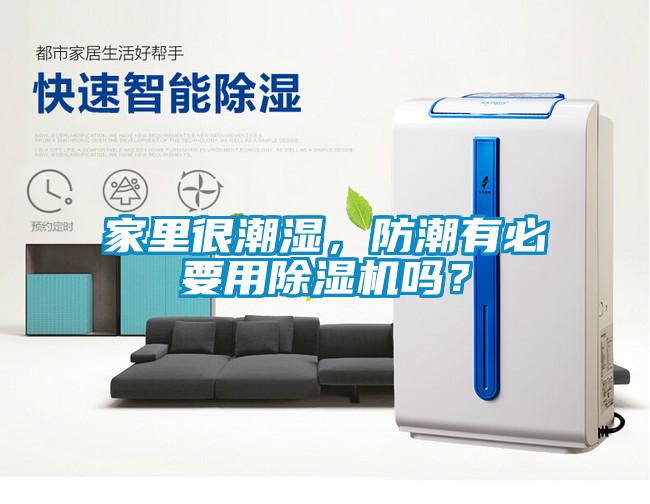 家里很潮濕，防潮有必要用除濕機嗎？