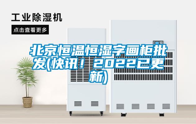 北京恒溫恒濕字畫(huà)柜批發(fā)(快訊！2022已更新)
