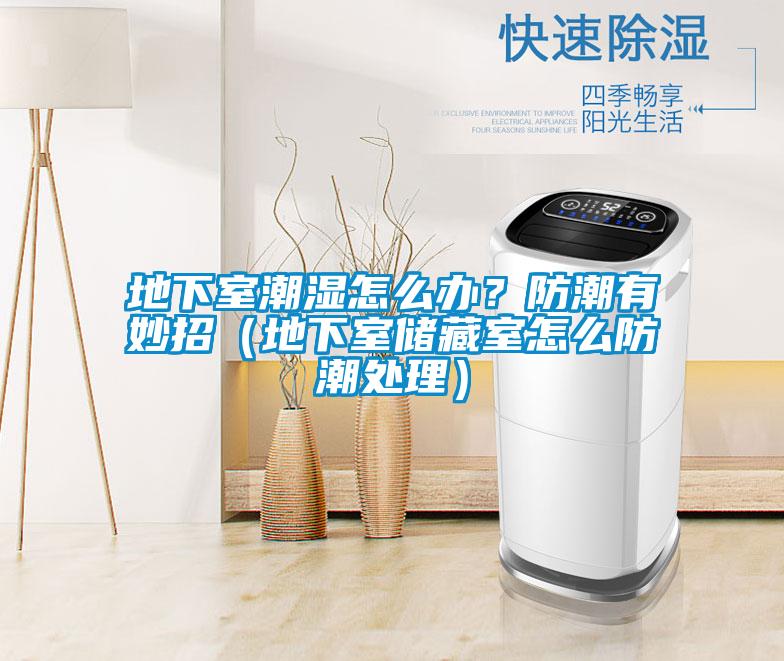 地下室潮濕怎么辦？防潮有妙招（地下室儲藏室怎么防潮處理）