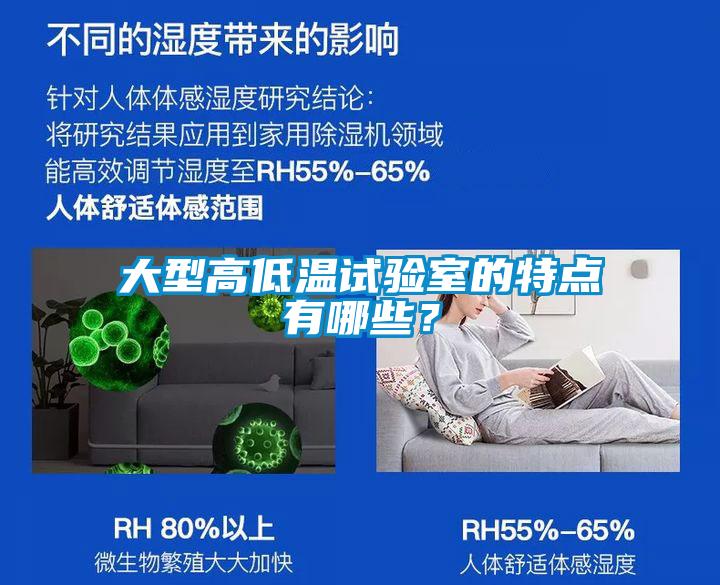 大型高低溫試驗室的特點(diǎn)有哪些？