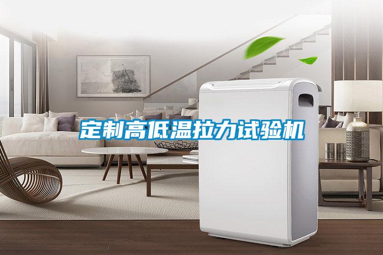 定制高低溫拉力試驗機
