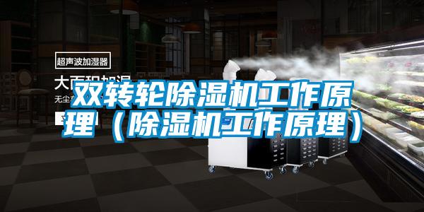 雙轉輪除濕機工作原理（除濕機工作原理）