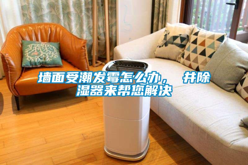 墻面受潮發(fā)霉怎么辦，東井除濕器來(lái)幫您解決