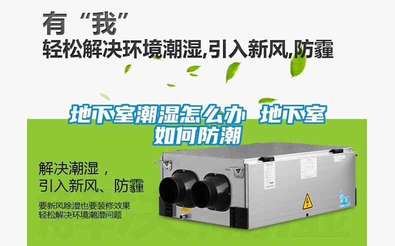 地下室潮濕怎么辦 地下室如何防潮