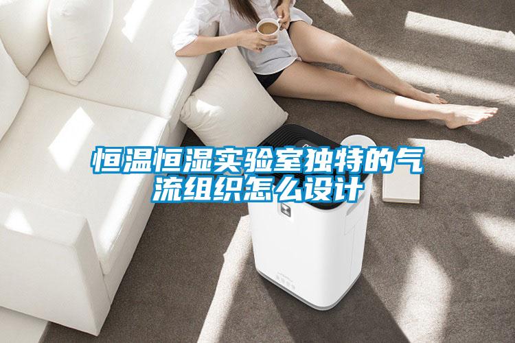 恒溫恒濕實(shí)驗室獨特的氣流組織怎么設計