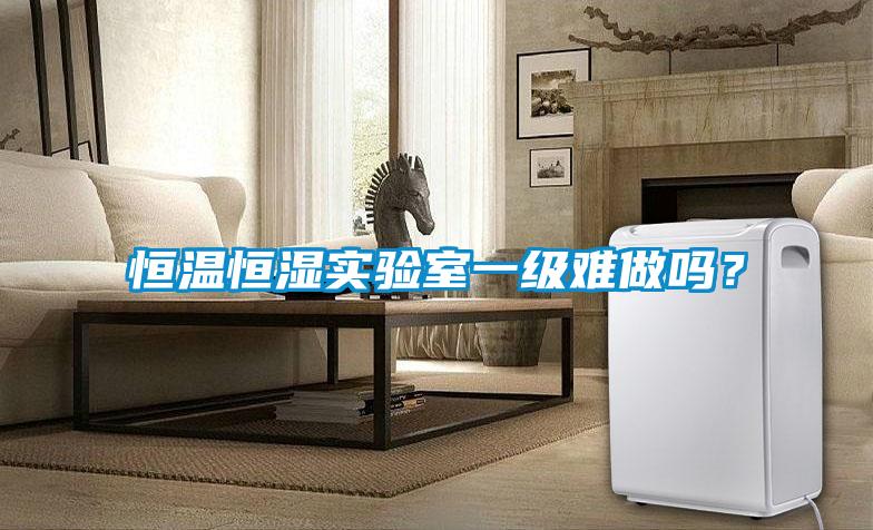 恒溫恒濕實(shí)驗室一級難做嗎？