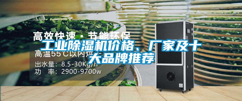 工業(yè)除濕機價(jià)格、廠(chǎng)家及十大品牌推薦