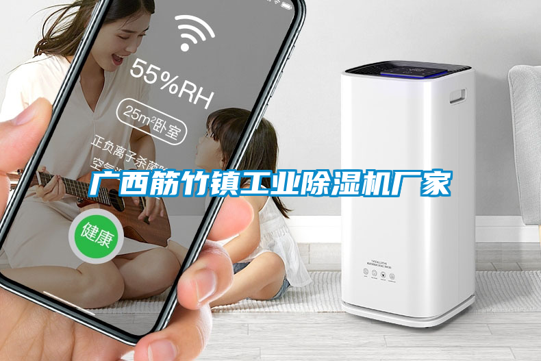 廣西筋竹鎮工業(yè)除濕機廠(chǎng)家