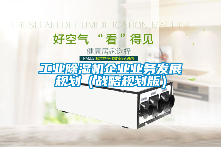 工業(yè)除濕機企業(yè)業(yè)務(wù)發(fā)展規劃（戰略規劃版）