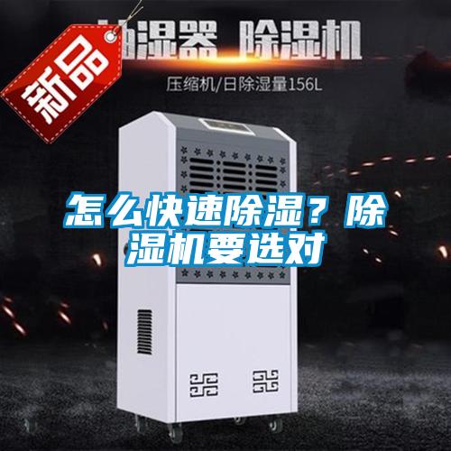 怎么快速除濕？除濕機要選對