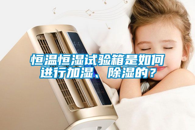 恒溫恒濕試驗箱是如何進(jìn)行加濕、除濕的？