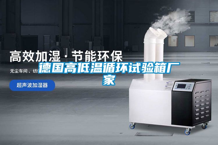 德國高低溫循環(huán)試驗箱廠(chǎng)家