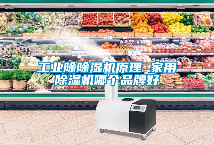 工業(yè)除除濕機原理 家用除濕機哪個(gè)品牌好