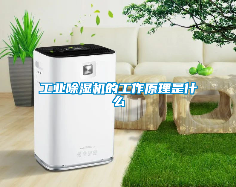 工業(yè)除濕機的工作原理是什么