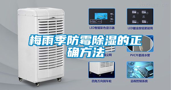 梅雨季防霉除濕的正確方法