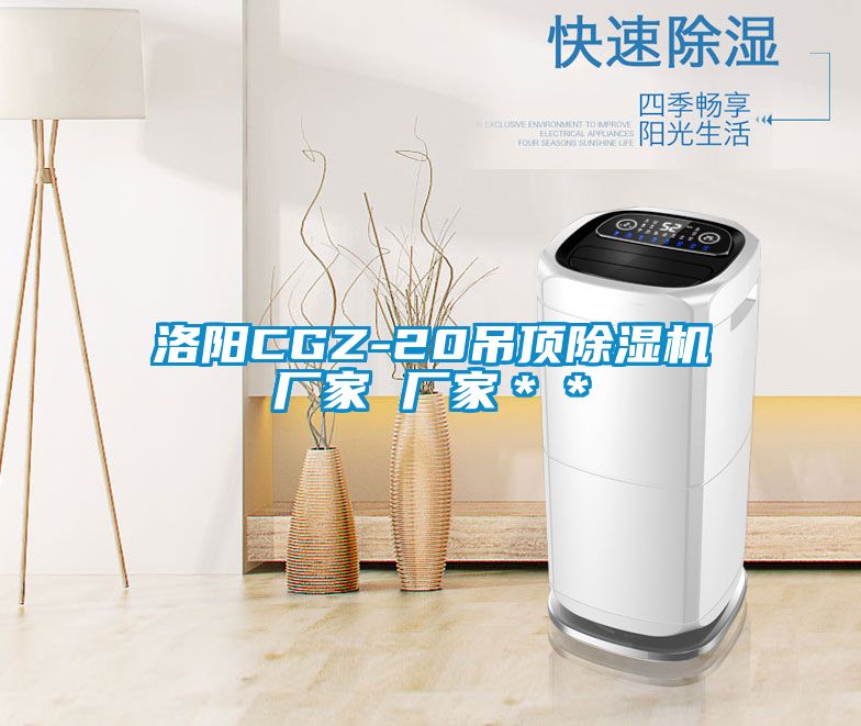 洛陽(yáng)CGZ-20吊頂除濕機廠(chǎng)家 廠(chǎng)家＊＊