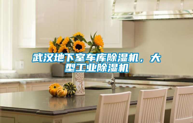 武漢地下室車(chē)庫除濕機，大型工業(yè)除濕機